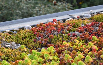 the cost of Daws Heath green roof installation