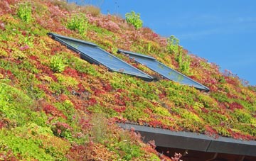 Daws Heath living roof systems